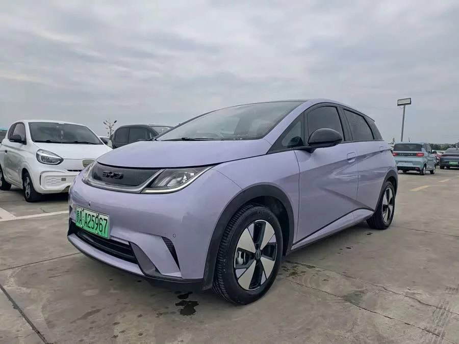 BYD Dolphin