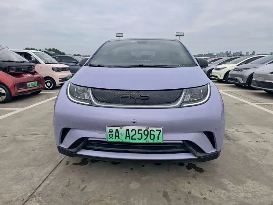 BYD Dolphin