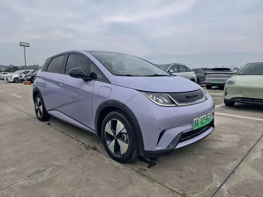 BYD Dolphin