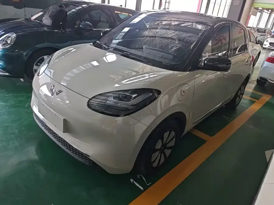 Wuling Bingo
