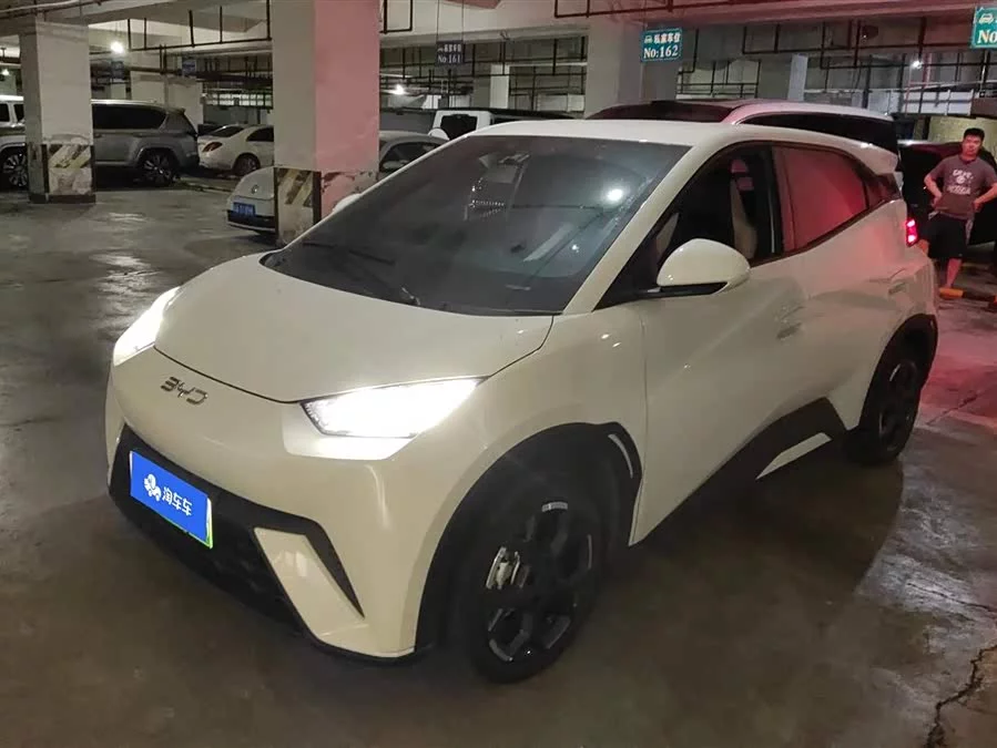 BYD Seagull