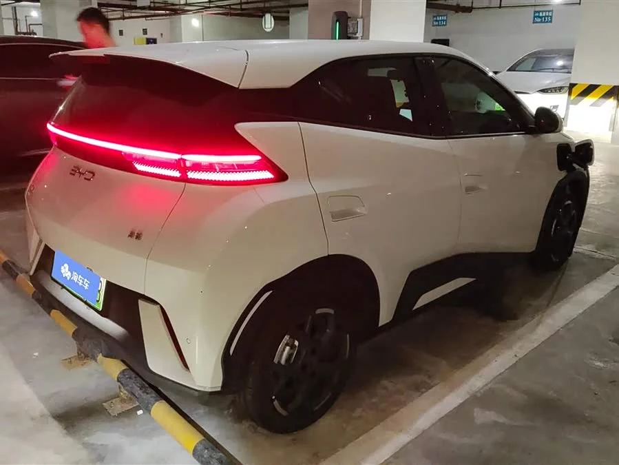 BYD Seagull