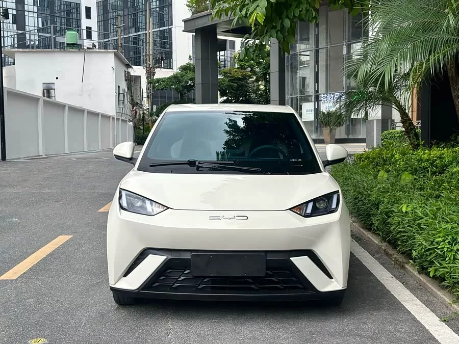 BYD Seagull