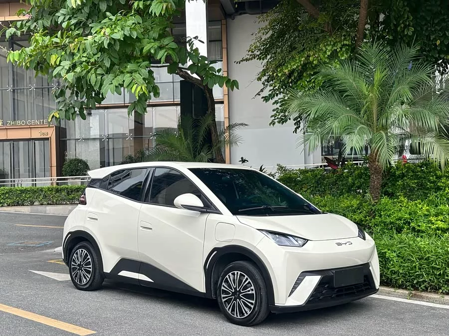 BYD Seagull