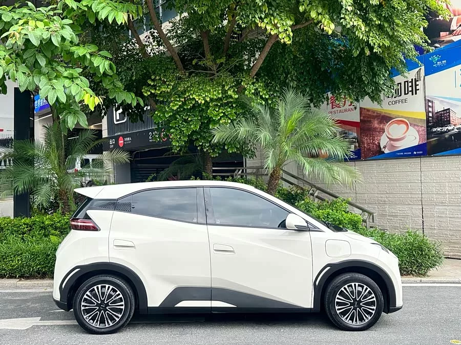 BYD Seagull