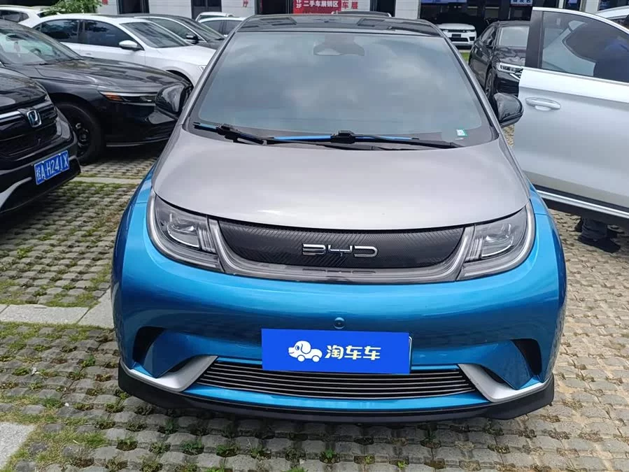 BYD Dolphin