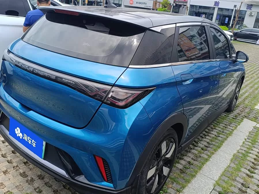 BYD Dolphin