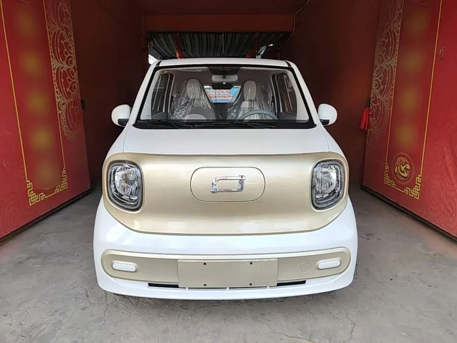 Pentium pony