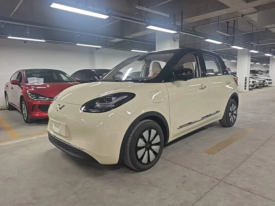 Wuling Bingo