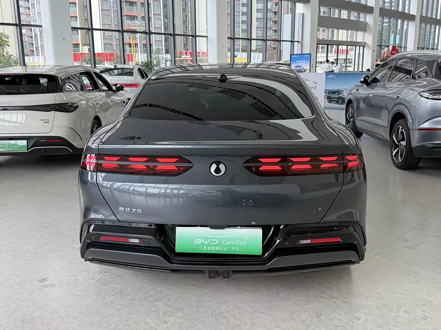 BYD Z9