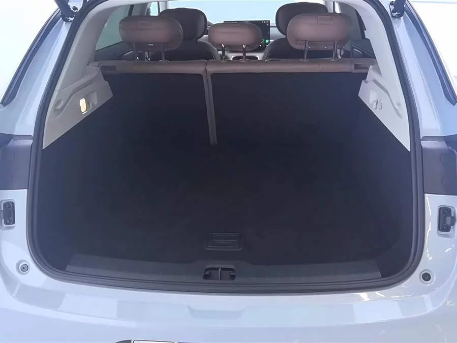Leapmotor C11