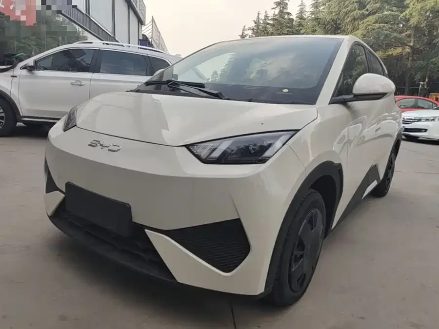 BYD Seagull