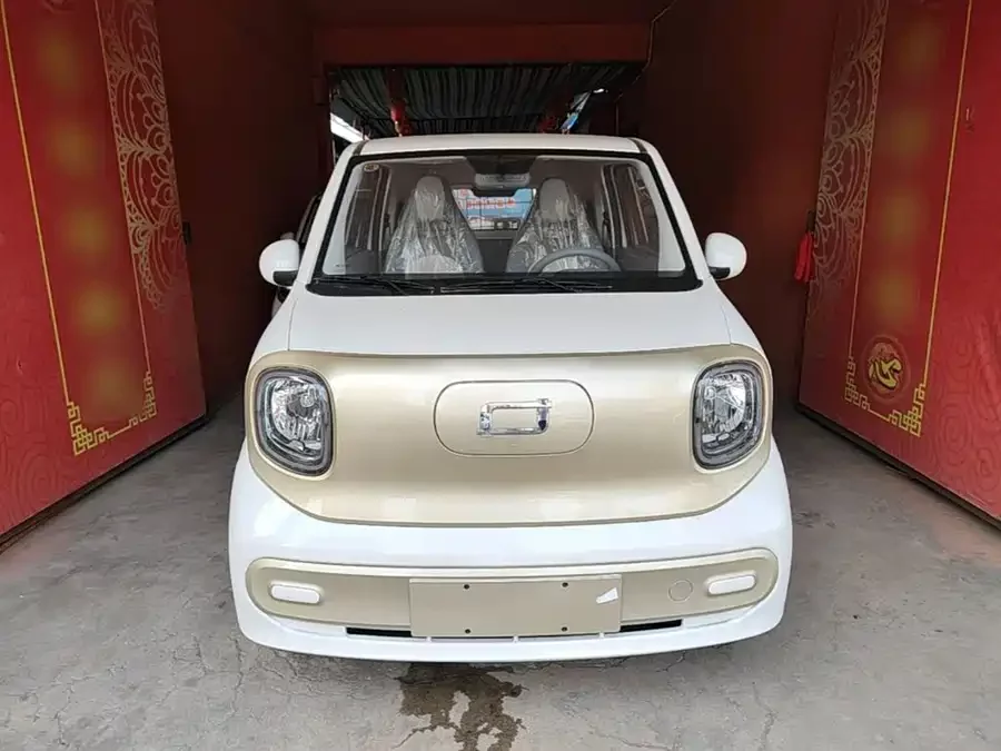 Pentium pony