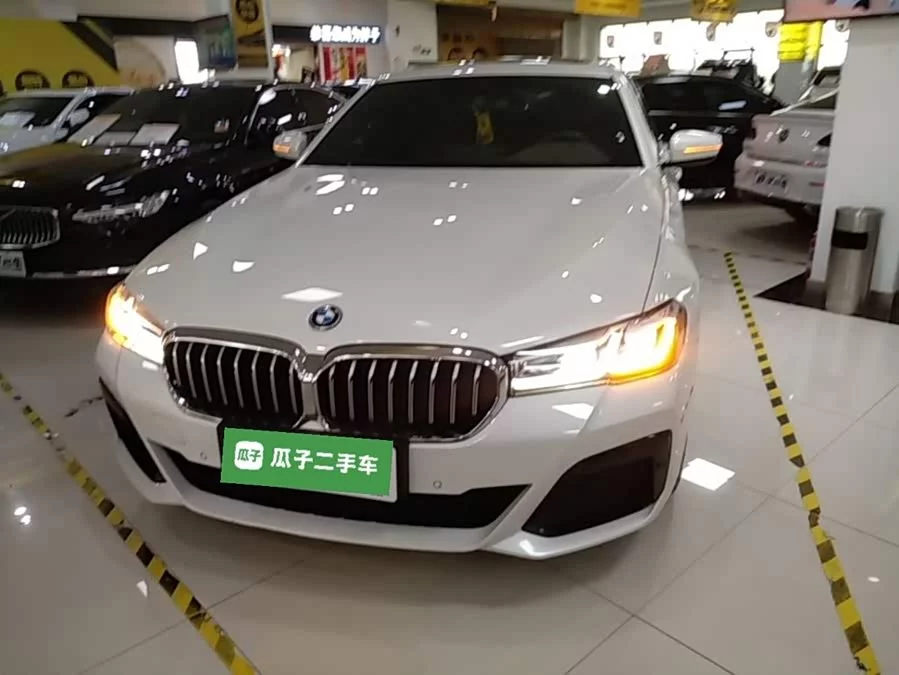 BMW 5 Series New Energy