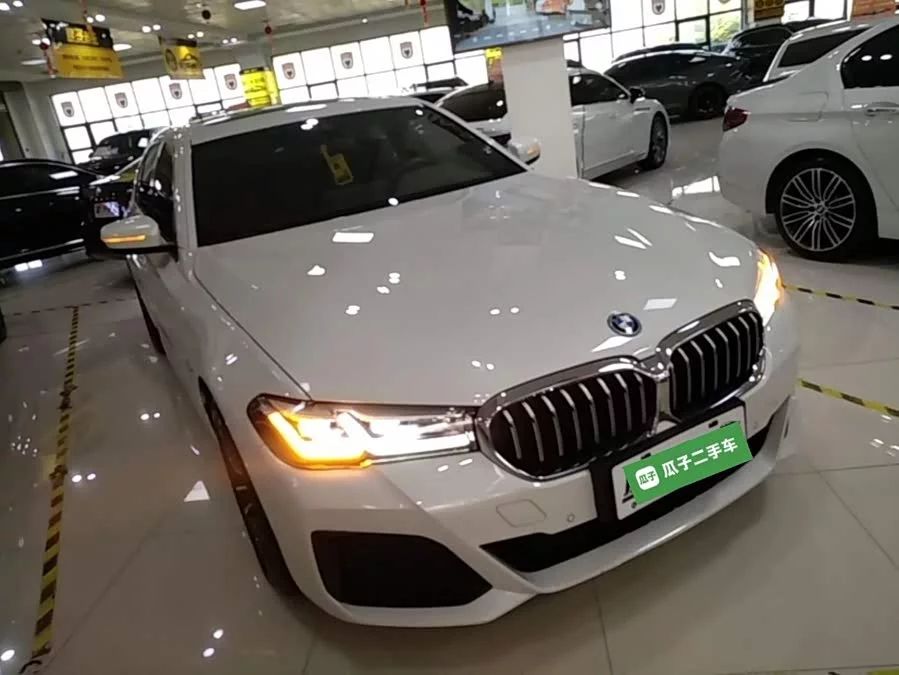 BMW 5 Series New Energy