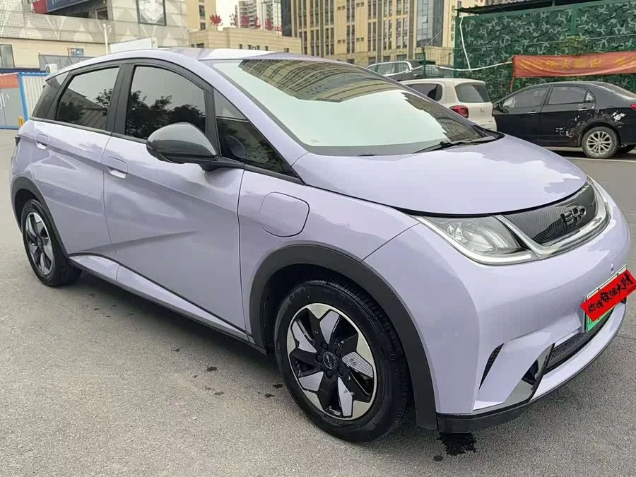 BYD Dolphin
