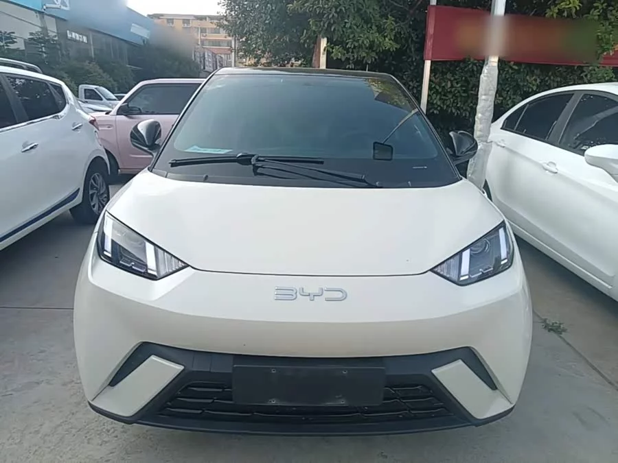 BYD Seagull