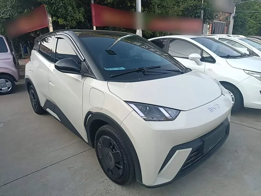 BYD Seagull