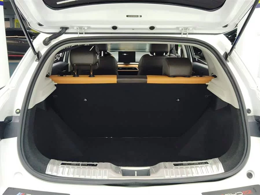 BYD e2