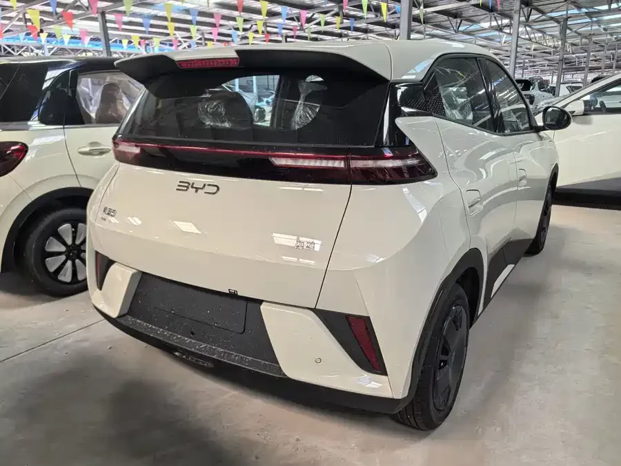 BYD Seagull