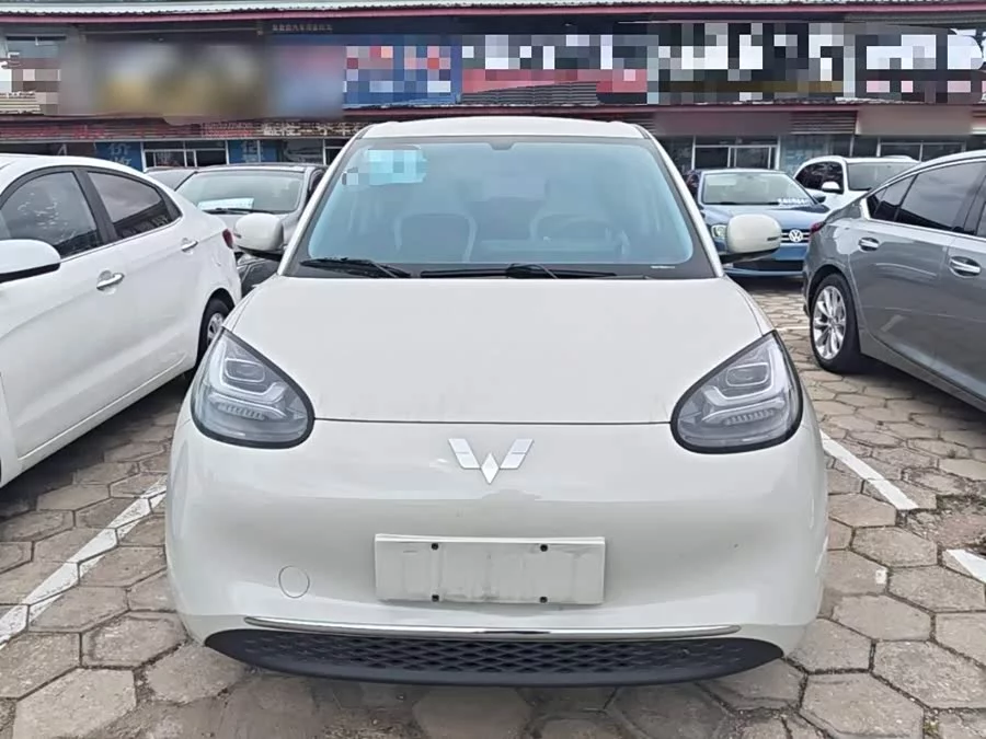 Wuling Bingo