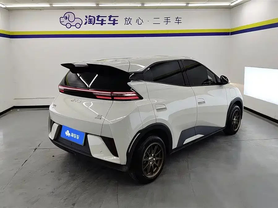 BYD Seagull