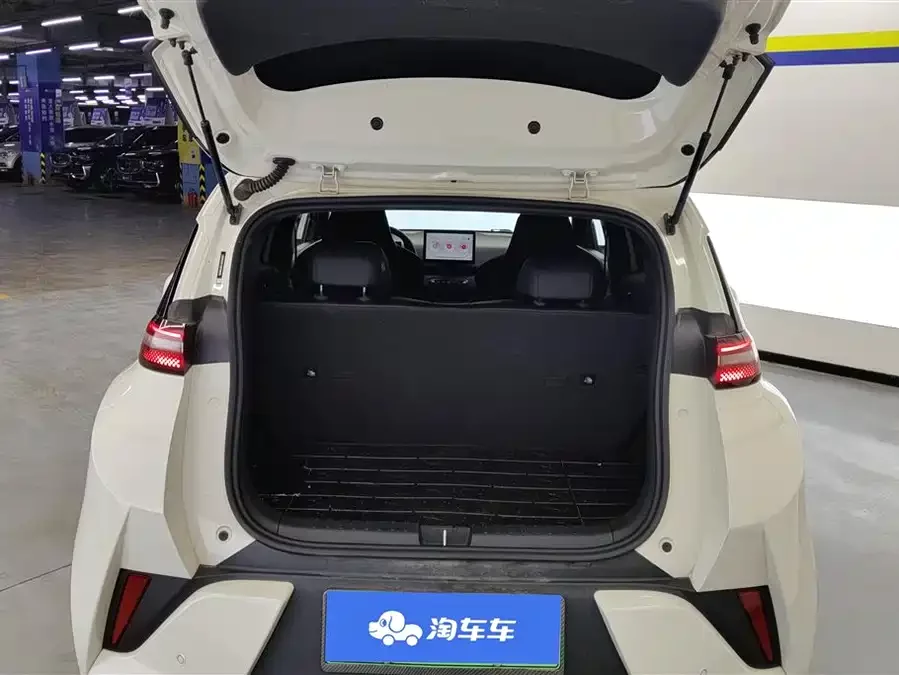 BYD Seagull