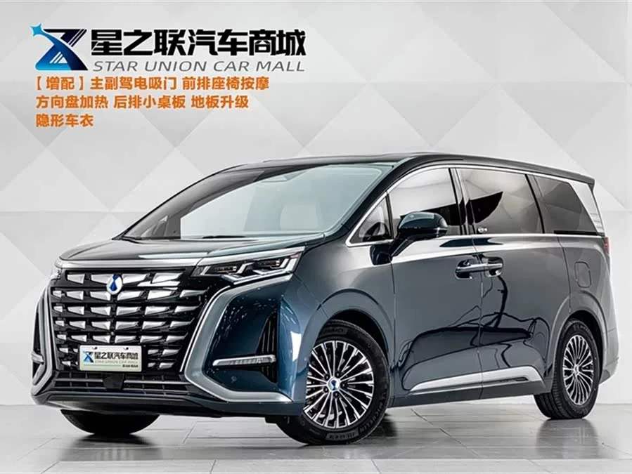 BYD D9