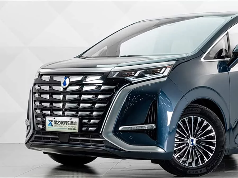 BYD D9