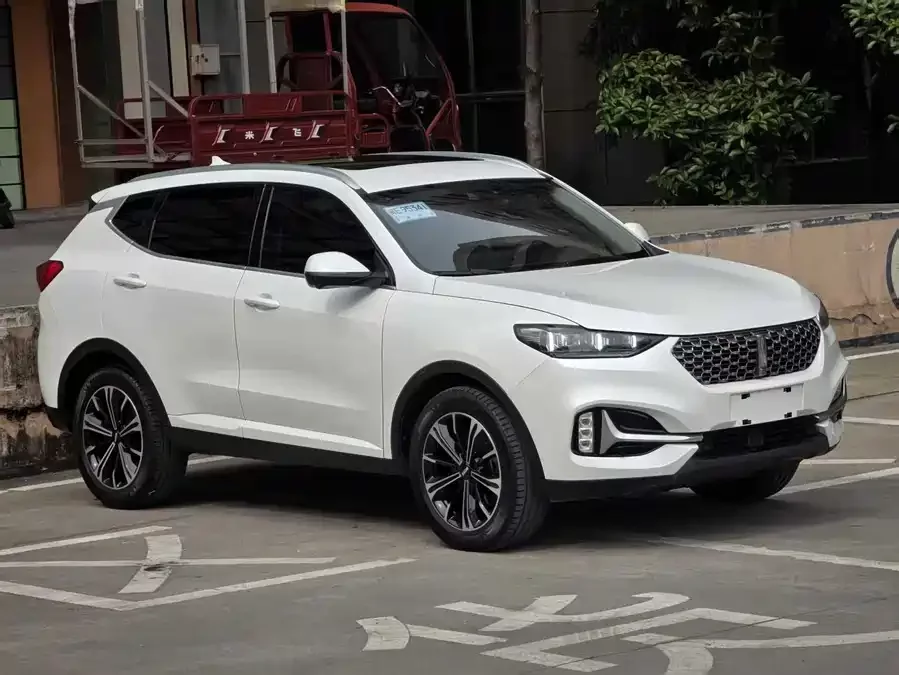 Wey VV6