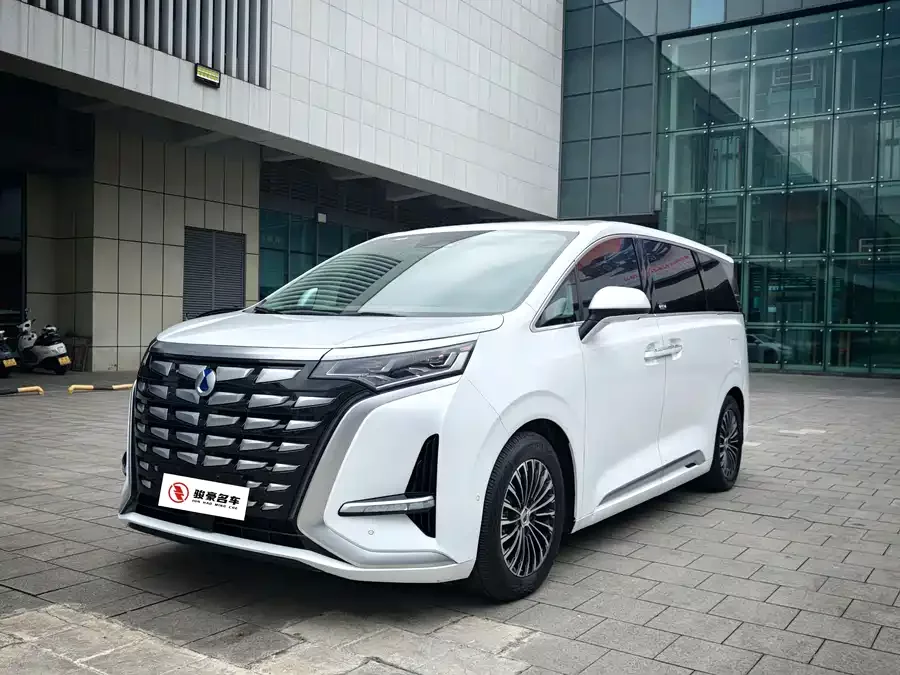BYD D9
