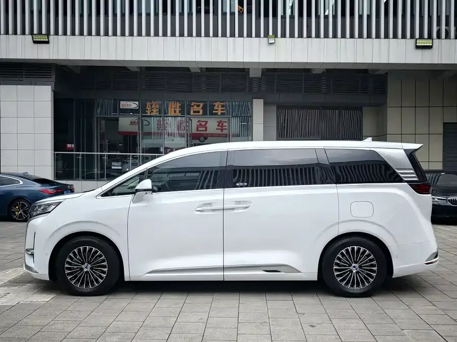 BYD D9