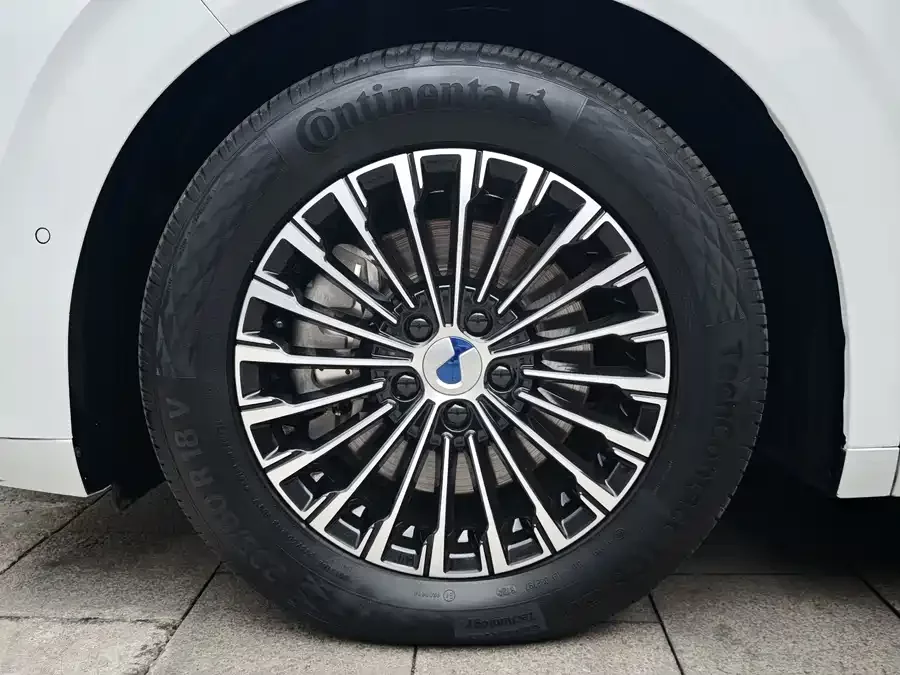 BYD D9