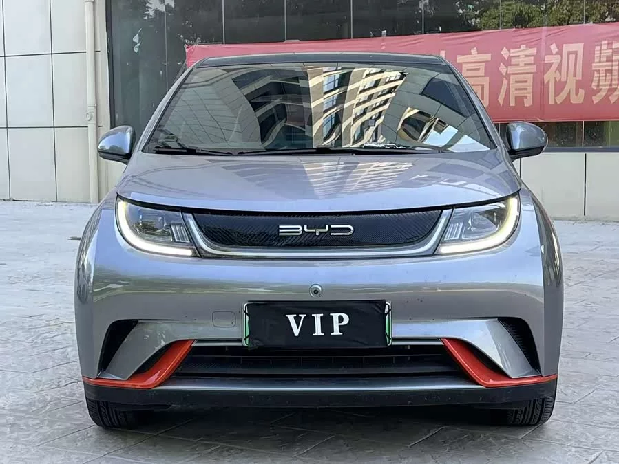 BYD Dolphin