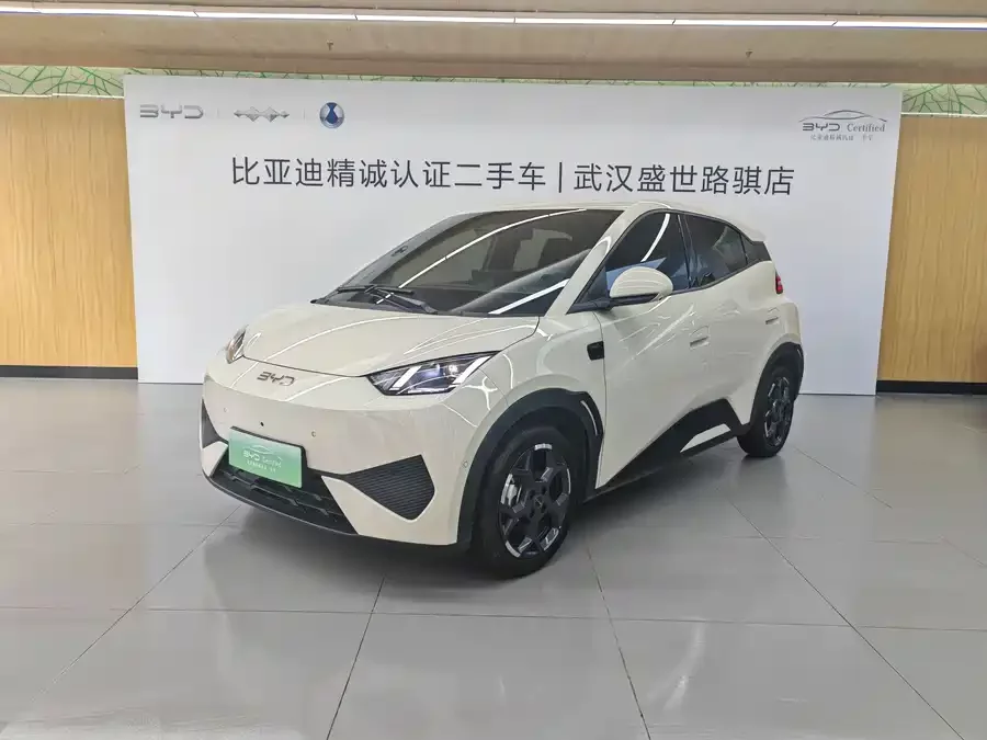 BYD Seagull