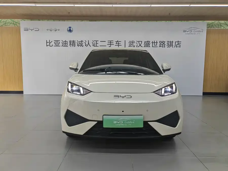 BYD Seagull