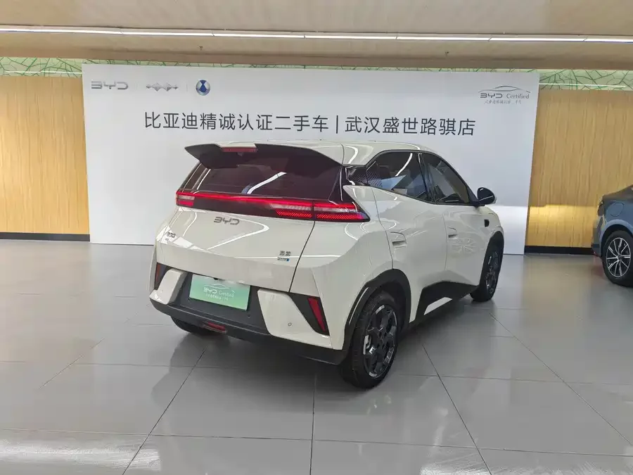 BYD Seagull