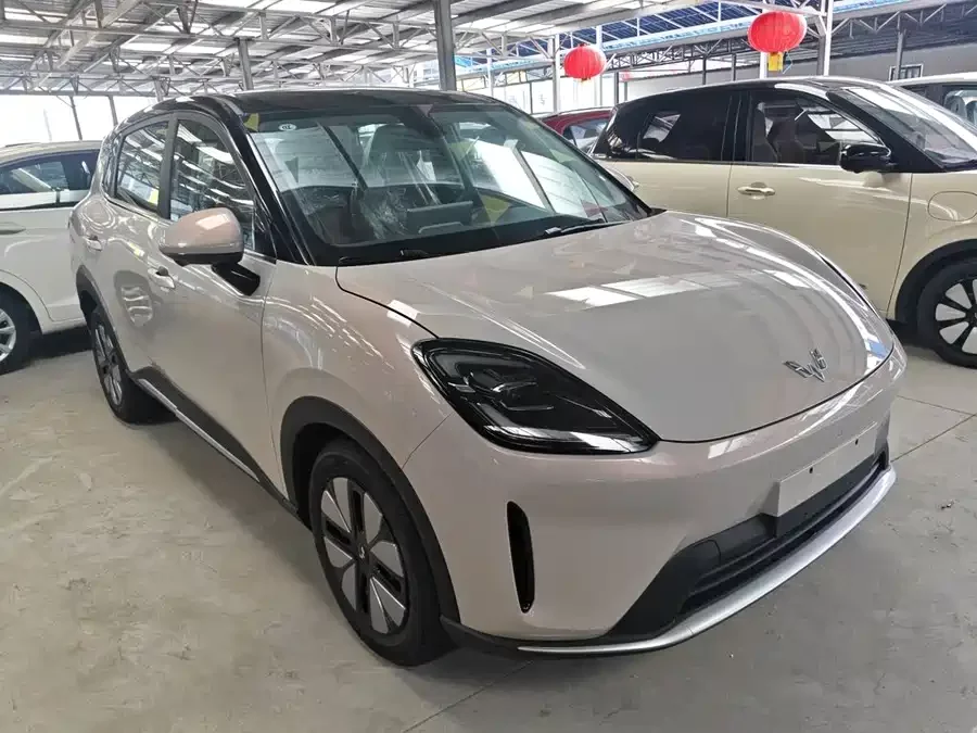 Wuling Bingo S