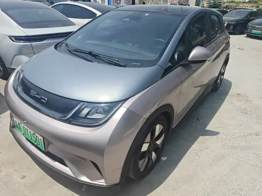 BYD Dolphin