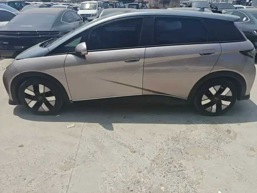 BYD Dolphin