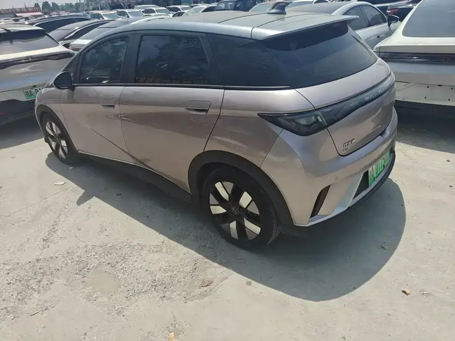 BYD Dolphin