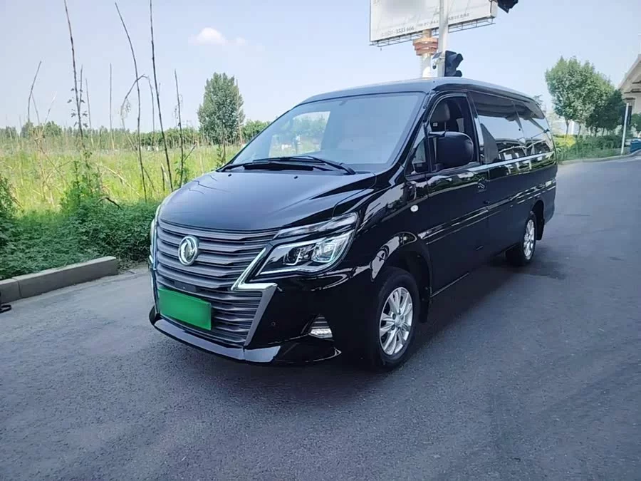 Dongfeng Lingzhi