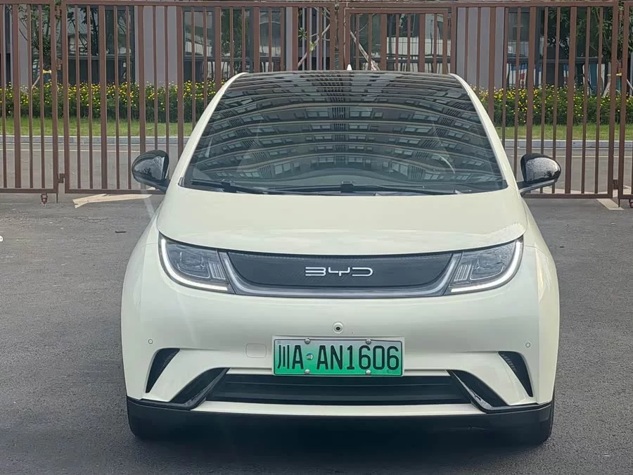 BYD Dolphin