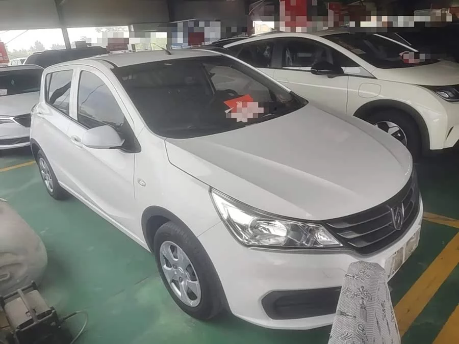 Baojun 310