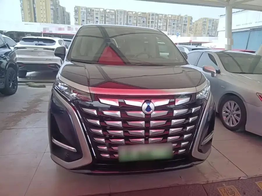 BYD D9