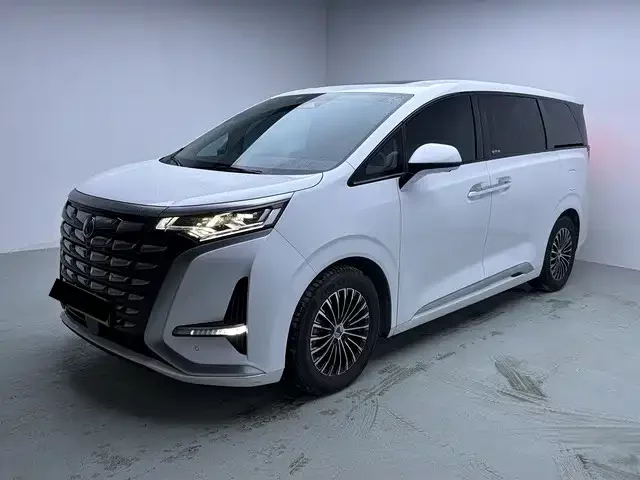 BYD D9