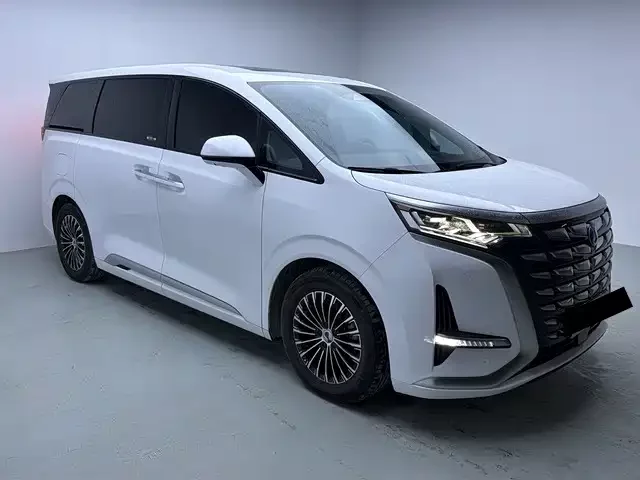 BYD D9