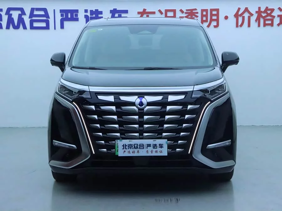 BYD D9