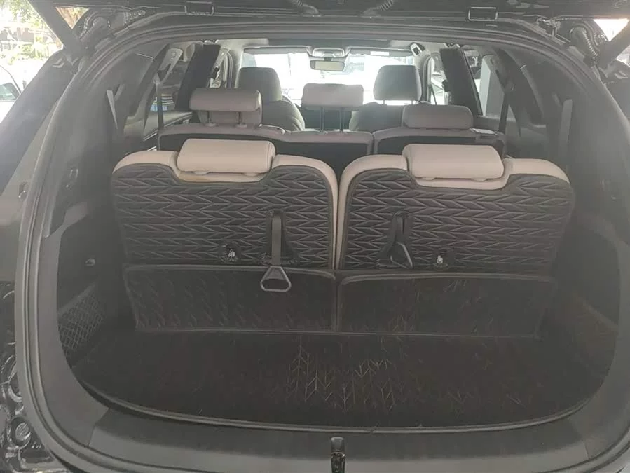 BYD Tang New Energy