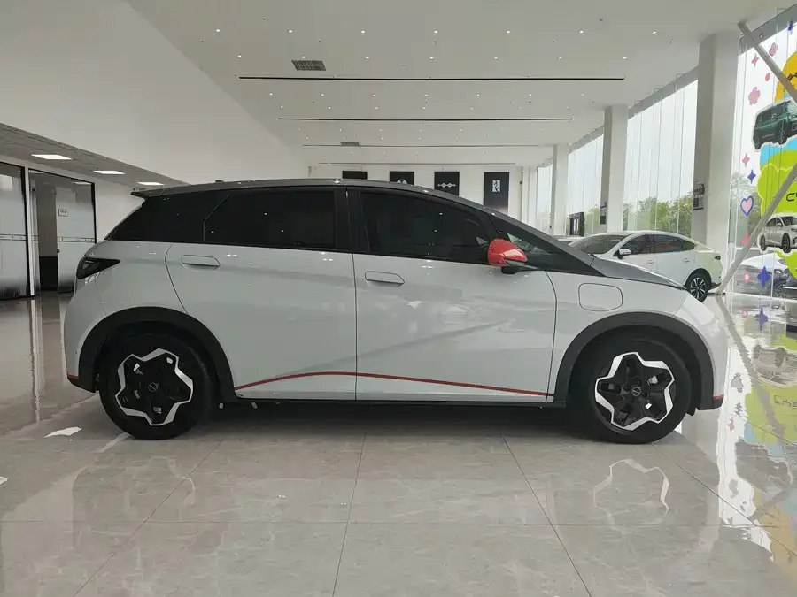 BYD Dolphin